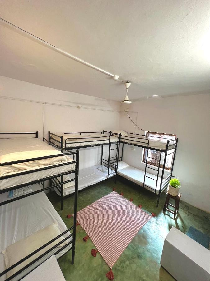 ואגאטור Green Rover Hostel By Gypstead מראה חיצוני תמונה