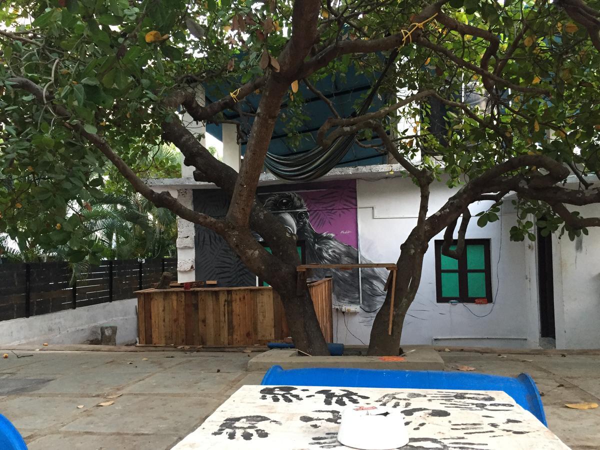 ואגאטור Green Rover Hostel By Gypstead מראה חיצוני תמונה